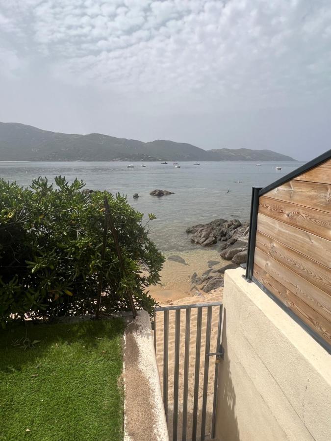 Appartement 2-4 Pers, Acces Direct Mer Casaglione Bagian luar foto